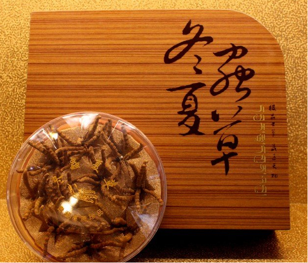 佛山冬虫夏草回收店