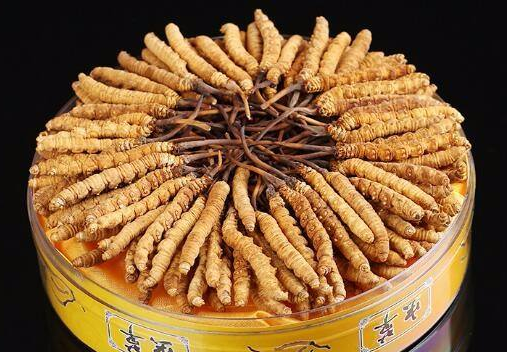 南海回收冬虫夏草-各种礼盒装冬虫夏草回收