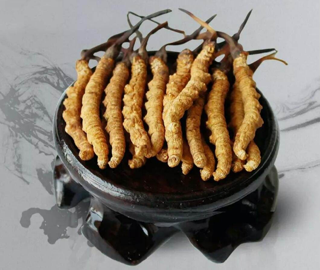 禅城回收冬虫夏草多少钱一两-虫草回收价格介绍