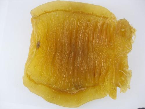 顺德鱼胶回收系列